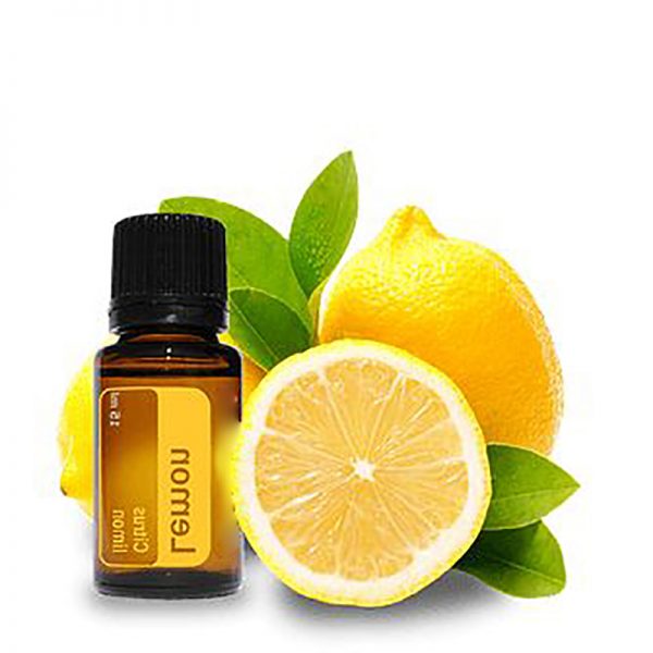 Essential Oils for Weight Loss Ravintsara Essential Oil