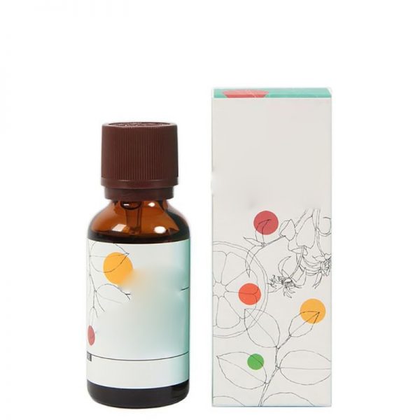 Antibacterial Essential Oils Essential Oils for Sleep and Anxiety