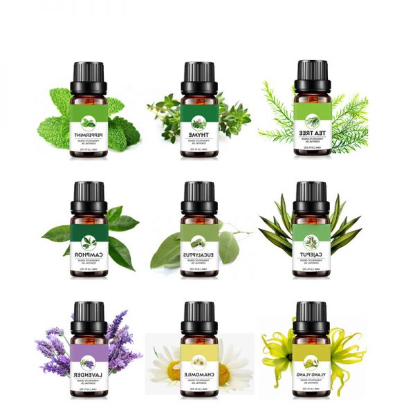 Essential Oils for Bug Bites Aromatherapy Essential Oils