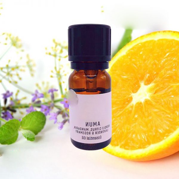 Vibrant Blue Oils Essential Oil Blends for Anxiety and Panic Attacks