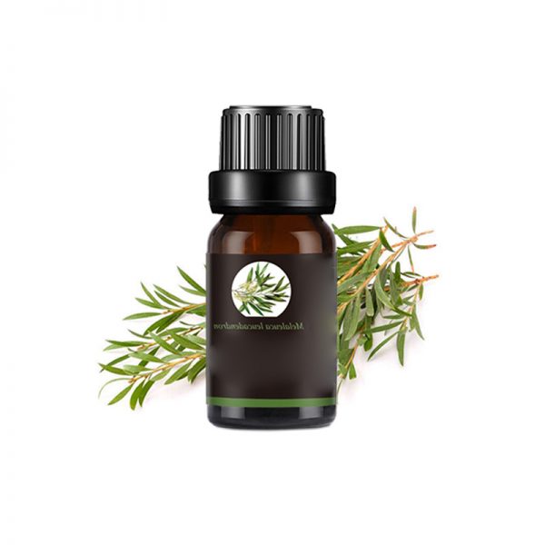 Asakuki Essential Oil Diffuser Essential Oil Companies USB Diffuser