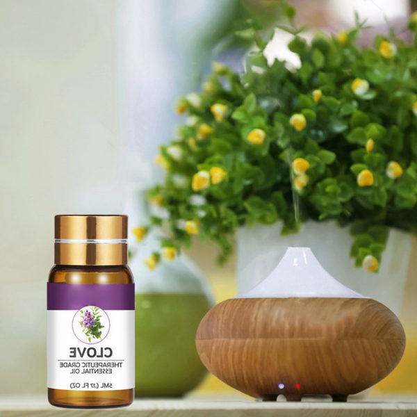 Christmas Essential Oils Rose Geranium Oil Best Essential Oils for Hair