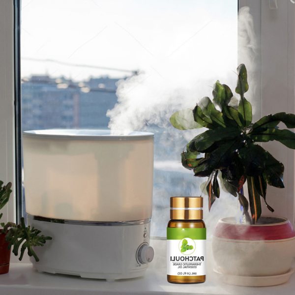 Christmas Essential Oils Rose Geranium Oil Best Essential Oils for Hair