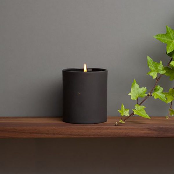 The Best Wax Melts Homesick Candle Scented