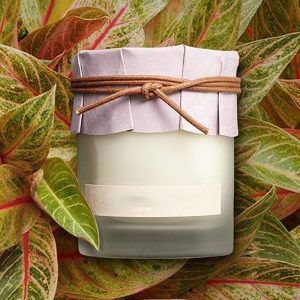Glass Dome Scent Candle Luxury Scented Customize Candles