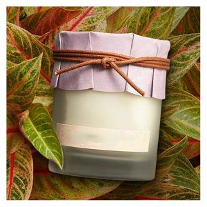 Strongest Smelling Candles Bath And Body Works Christmas Scents