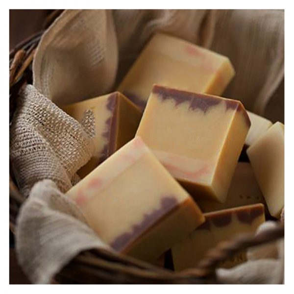 Scents For Candles Pine Scented Candle