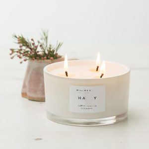 Cashmere Plum Massive Scented Candles For Hotels