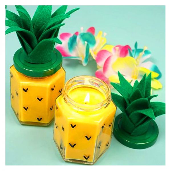 Scented Candles Fragrance Oils Multi Scents Luxury Soy Wax Candles