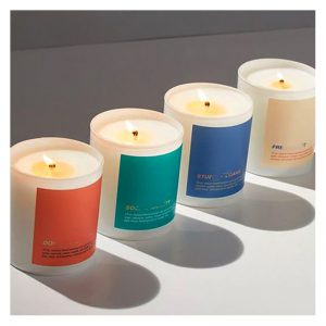 Yankee Candle Scents Cinnamon Candles