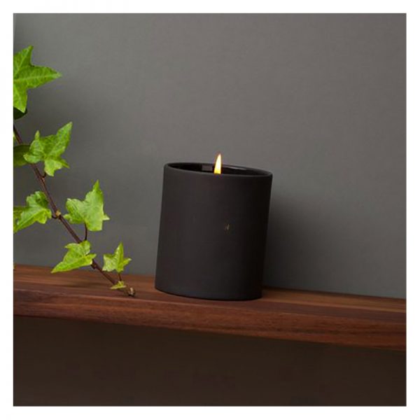 Tart Burners Apple Cinnamon Candles Scented Candle Vanilla