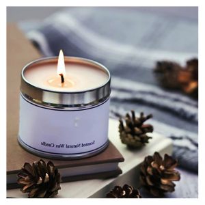 Frosted Cranberry Bath And Body Works Scentsationals Wax Warmer
