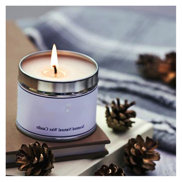 Frosted Cranberry Bath And Body Works Scentsationals Wax Warmer