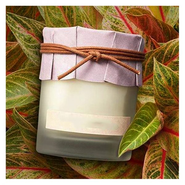 Yankee Candle Charming Scents Perfume Wax Melts