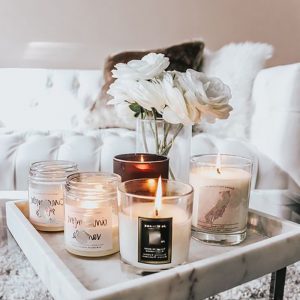 Chesapeake Bay Mind And Body Coconut Scented Soy Candle