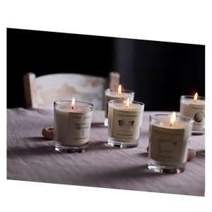 Tart Warmers Wax Tarts Private Label Scented Soy Candles With Boxes