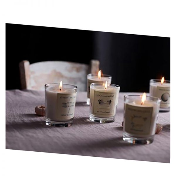 Tart Warmers Wax Tarts Private Label Scented Soy Candles With Boxes