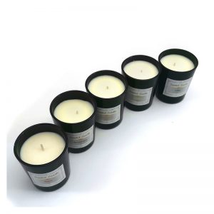 Best Fragrance Candles Twisted Peppermint Candle Scented Oil Candle