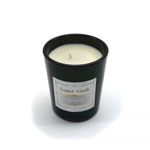 Watermelon Scented Candle Aromatherapy Large Tin Candle 2 Wicks