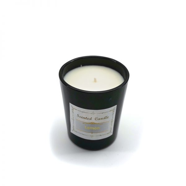 Watermelon Scented Candle Aromatherapy Large Tin Candle 2 Wicks