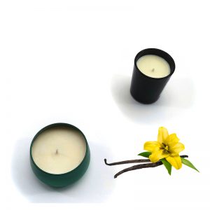Handmade Wax Melts Flameless Scented Candles
