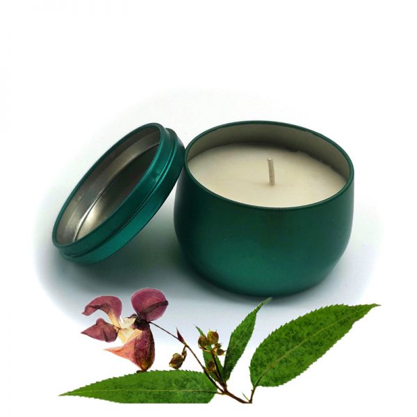 Bulk Fragrance Oils Luxury Fragrance Oils For Candles
