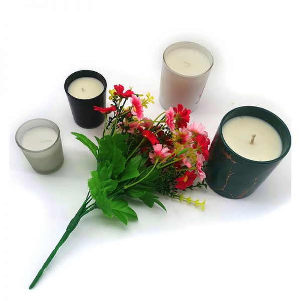 Best Candle Wax For Scent Throw Figuier Candle