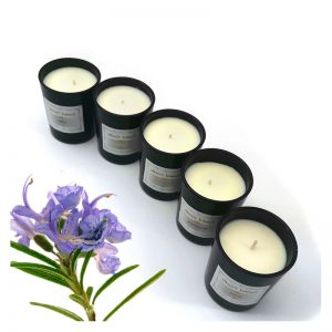 Soy Melts Tiki Beach Bath And Body Works Scented Candles Amber