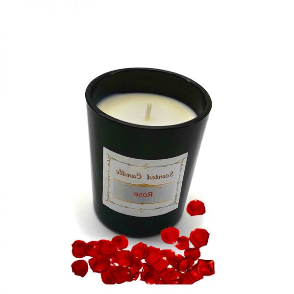 Soy Melts Tiki Beach Bath And Body Works Scented Candles Amber