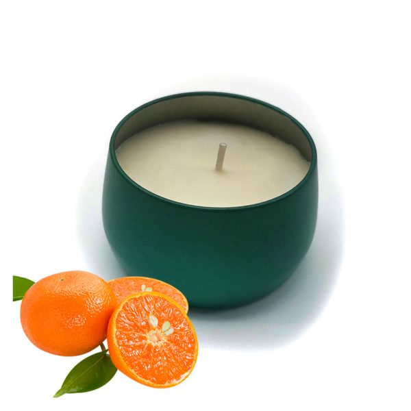 Apple Pumpkin Candle Best Scented Candles In The World