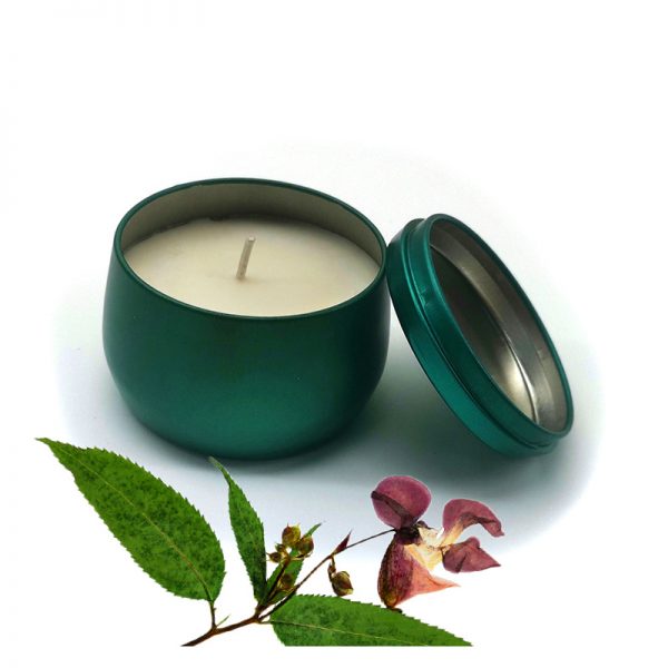 Apple Pumpkin Candle Best Scented Candles In The World