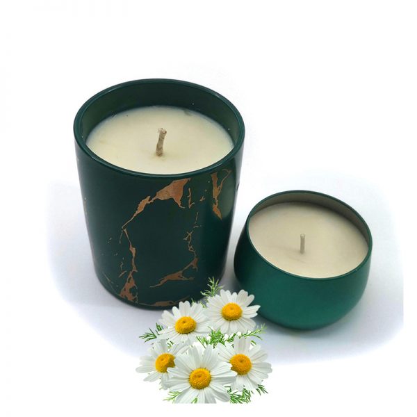 Diptyque Scented Candle Aromascape Candles Tin Candles Scented