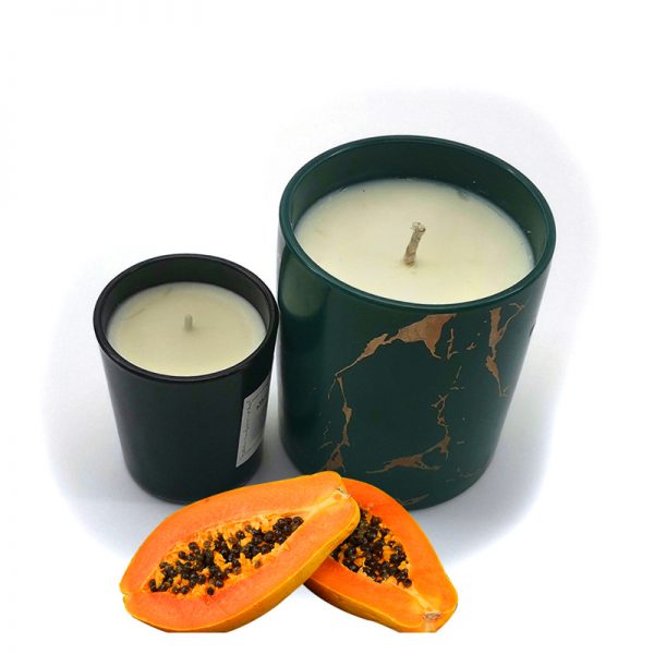 Diptyque Scented Candle Aromascape Candles Tin Candles Scented
