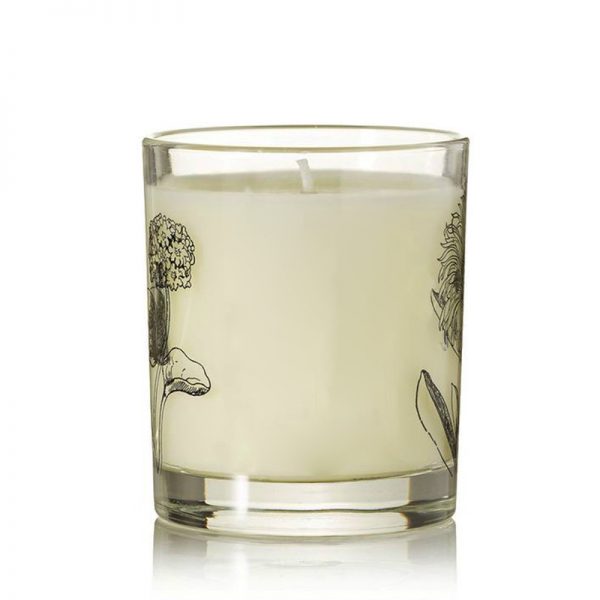 3 Wick Scented Candles Cocktail Candle Scented