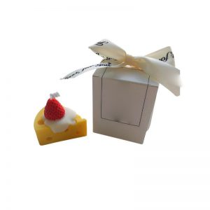 Magnolia Scented Candles Custom Wax Scented Tin Candle