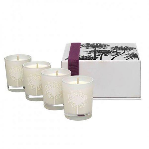 Yankee Candle Fall Scents Cute Gel Scented Candles