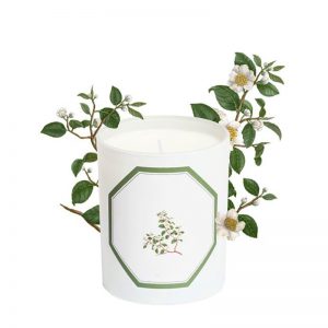 Organic Scented Candles Essential Oil Candl And Scent