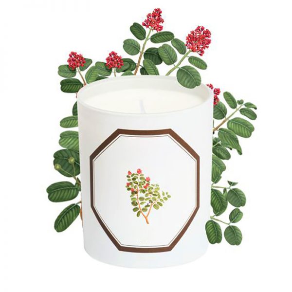 Organic Scented Candles Essential Oil Candl And Scent