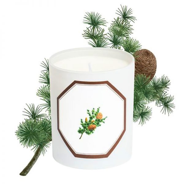 Organic Scented Candles Essential Oil Candl And Scent