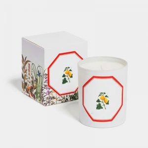 Strongest Smelling Wax Melts Massage Scented Candles
