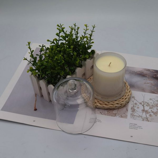 White Barn Cactus Blossom Candles With Linen Scent