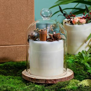 Disneyland Scented Candles Black Scented Candle With Lid