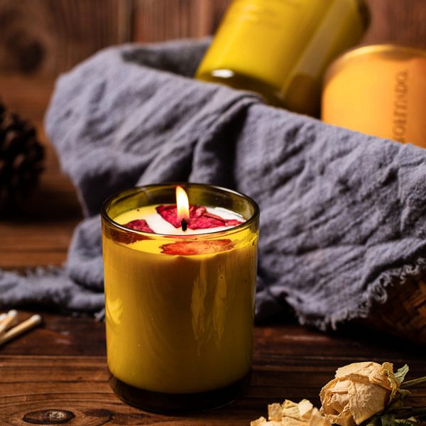 Voluspa Spiced Pumpkin Latte Candles Scented Luxury Mango