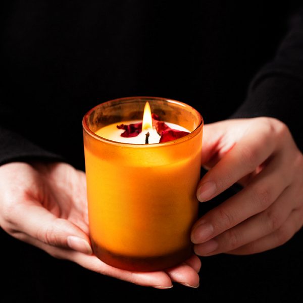 Voluspa Spiced Pumpkin Latte Candles Scented Luxury Mango