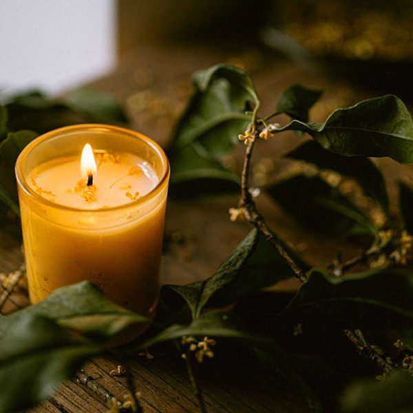 Diptyque Patchouli Luxury Scented Candles Sample