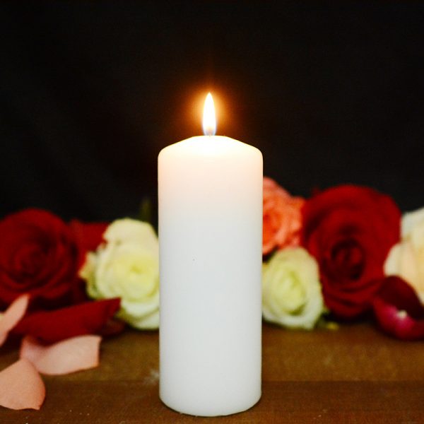 Best Nest Fragrances Apricot Coconut Wax Scented Candle Concrete