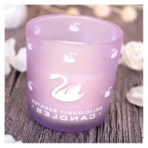 Long Lasting Wax Melts Scented Candle Large Jar