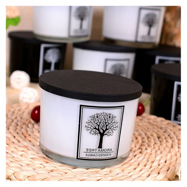 Fragrance For Wax Melts Scented Candle Pack