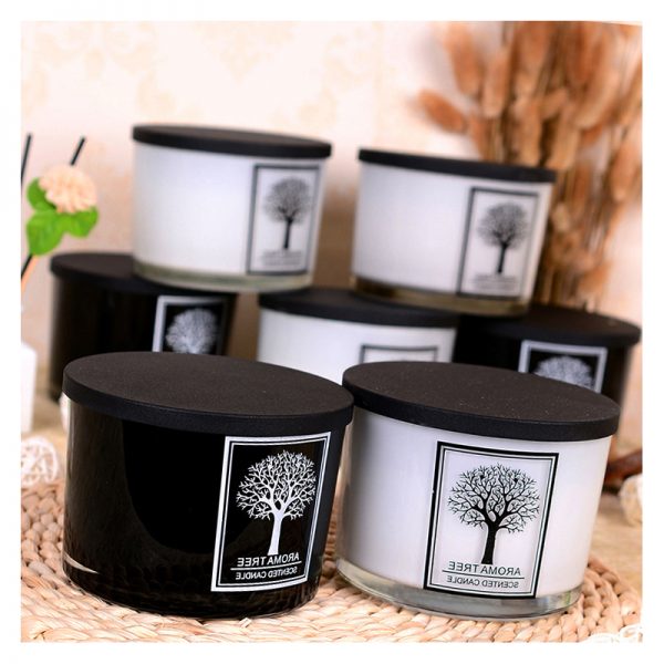 Fragrance For Wax Melts Scented Candle Pack