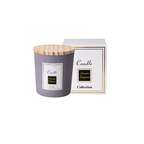Capri Blue Volcano Perfume Large Wicked Candles Scented Luxury